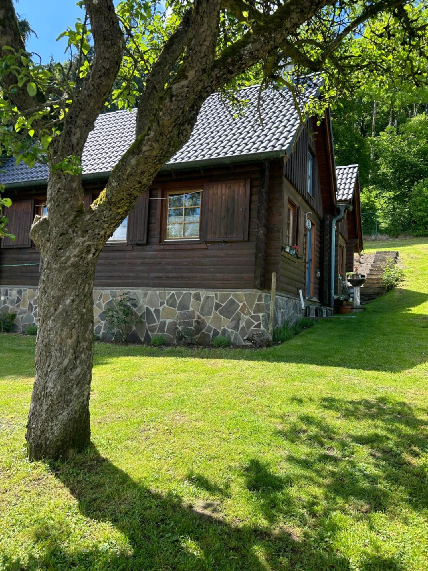 Kempenich Blockhuette Engeln-Eifel 빌라 외부 사진